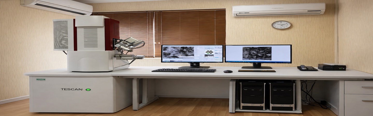 Electron Microscope Laboratory (SEM, FESEM)