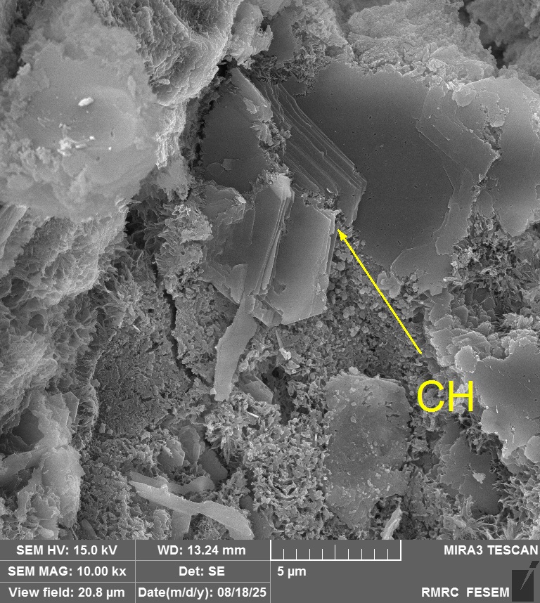 Concrete Structure 4