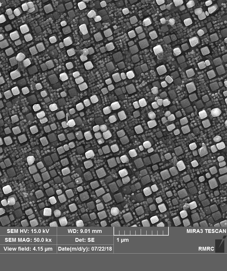 Gamma Prime Superalloy