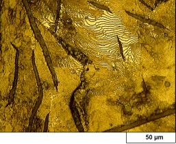 آزمایشگاه متالوگرافی 1