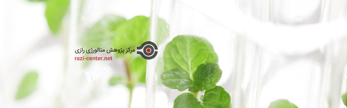موفقیتی بزرگ و بی نظیر برای مرکز پژوهش متالورژی رازی
