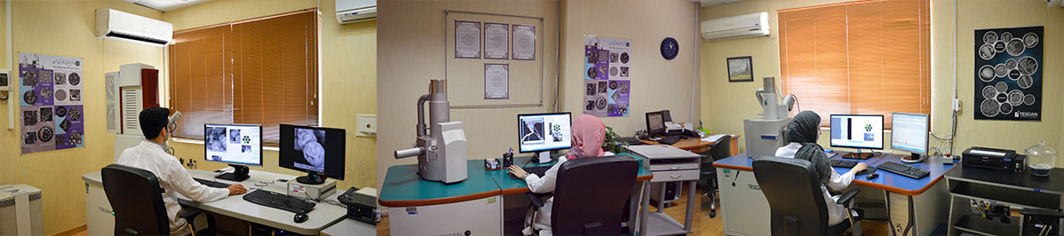 Scanning Electron Microscope